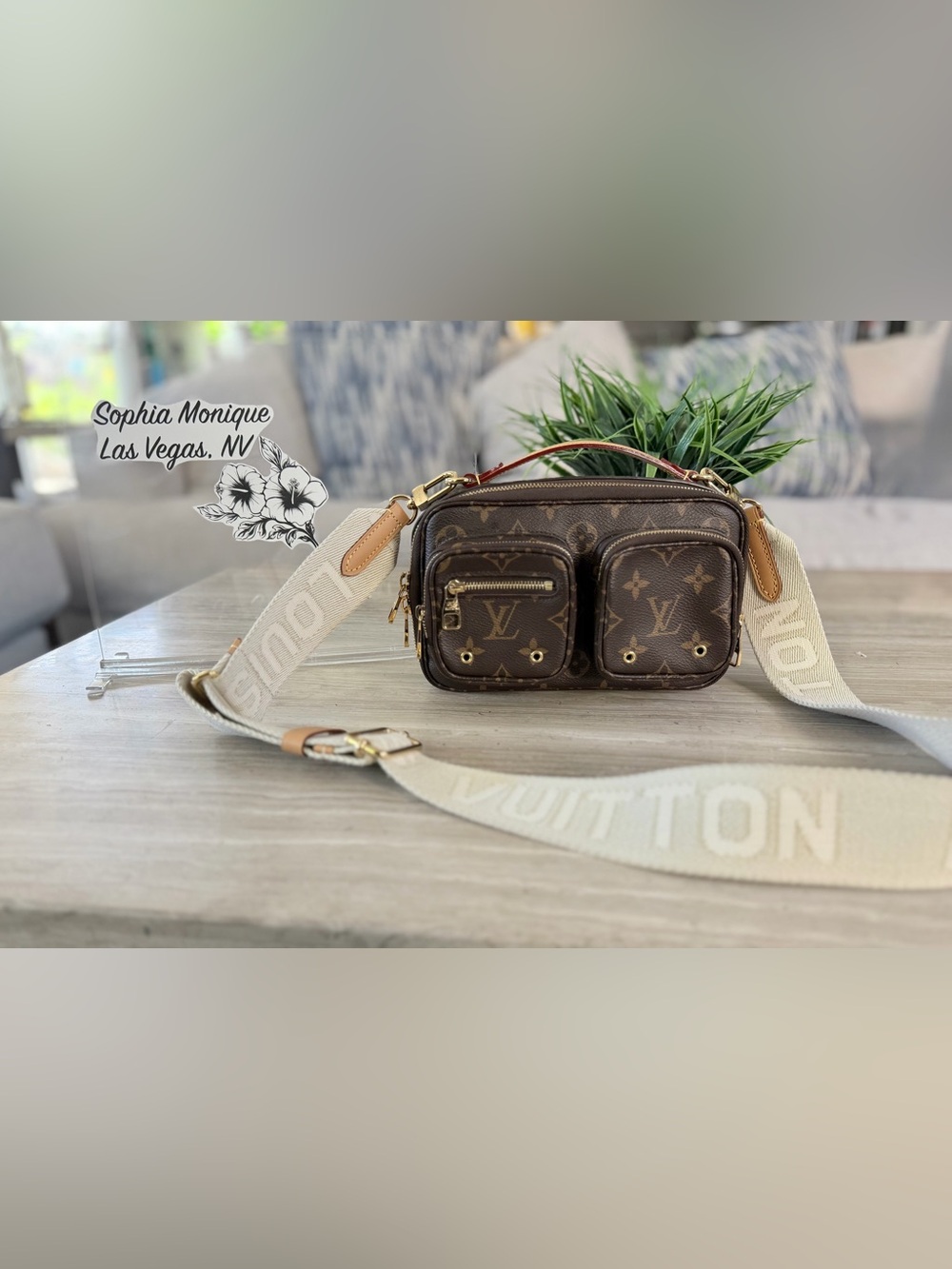 Louis Vuitton Monogram Utility Bag